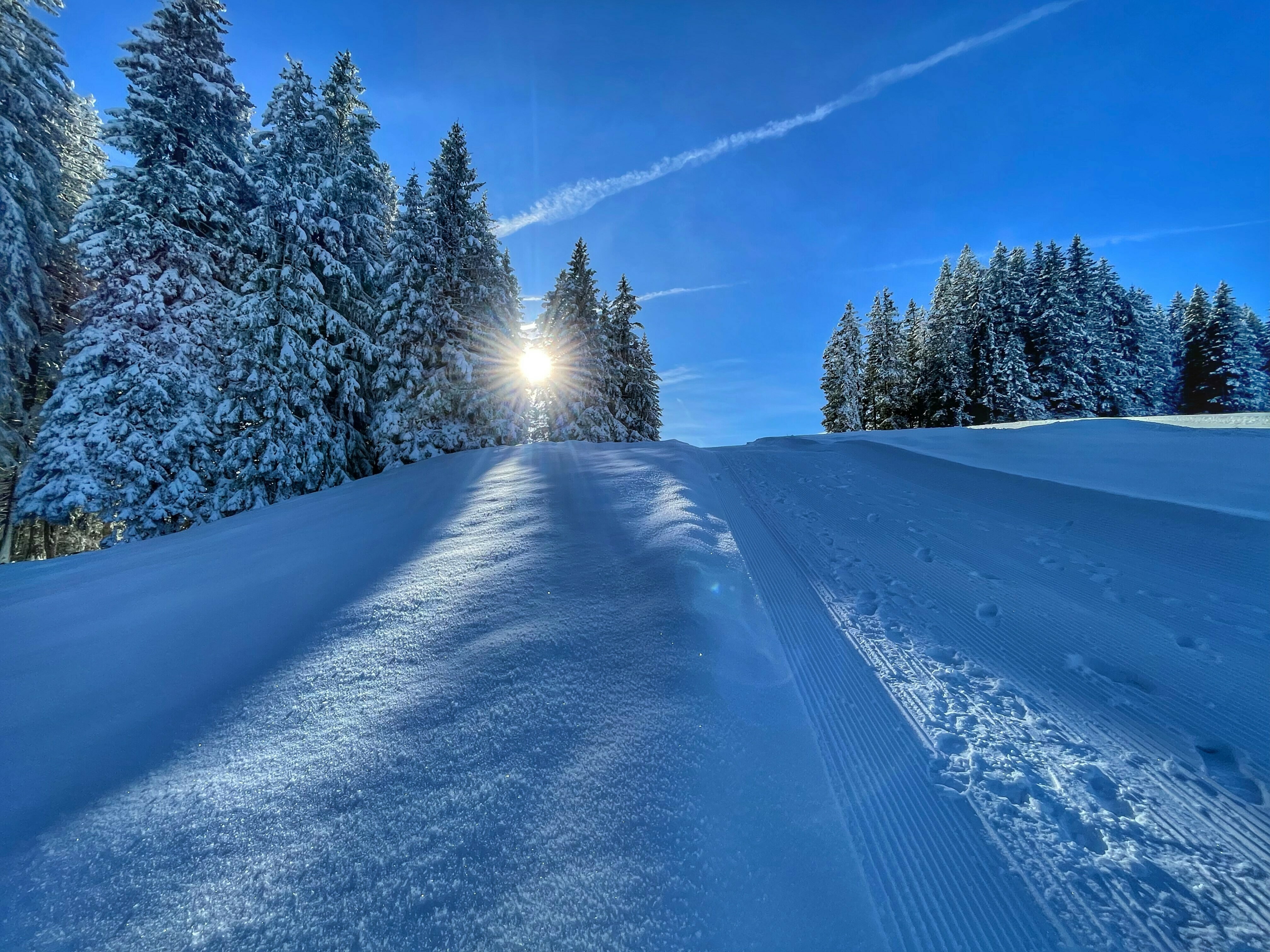Randonnée en raquettes au lever du soleil sur le Plani avec Christian