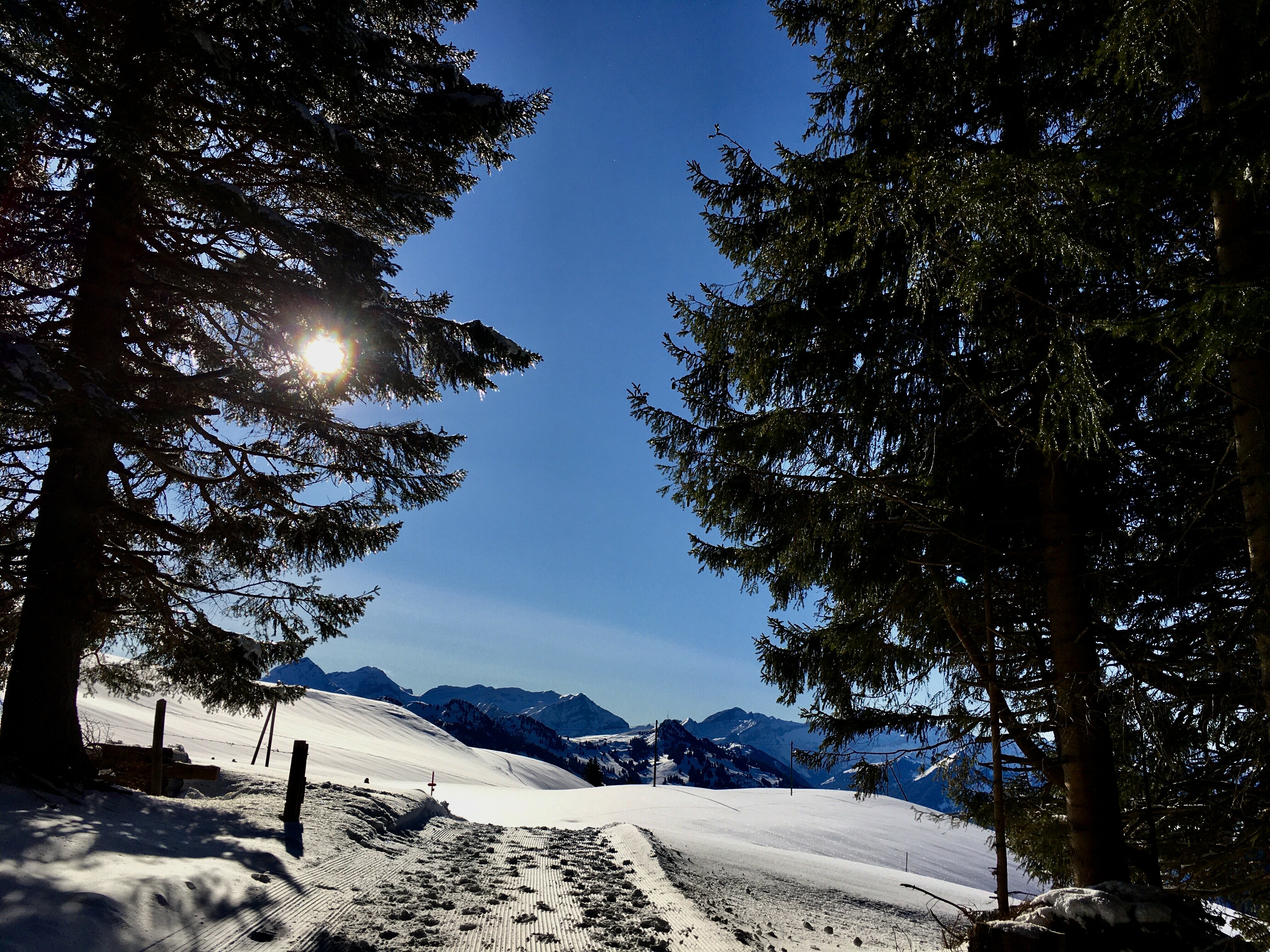 Hike with Ruth on the beautiful Sparenmoos plateau