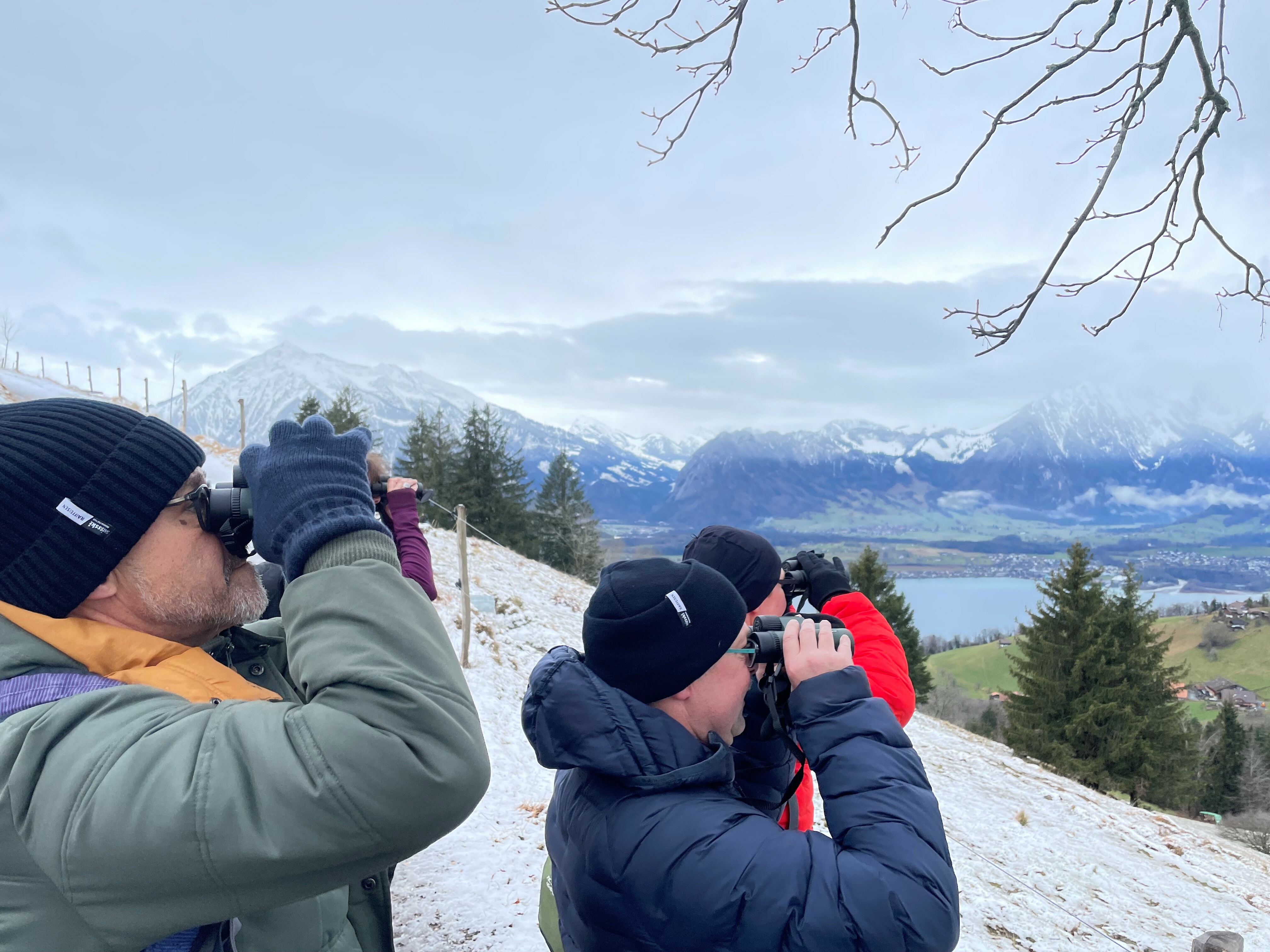 Bird walk with Urs Heinz Aerni