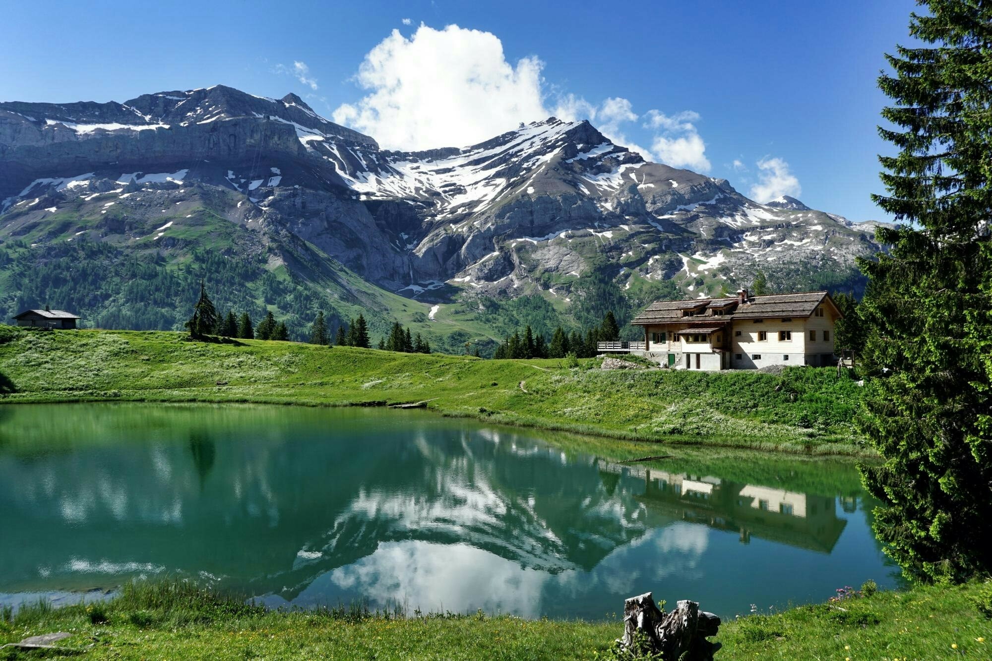 Hike with Gaby from Col du Pillon