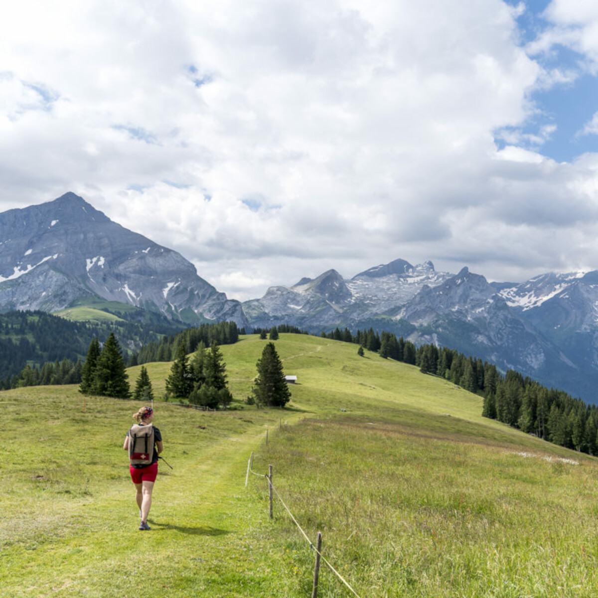A beautiful panoramic hike with Gaby on the Wispile above Gstaad