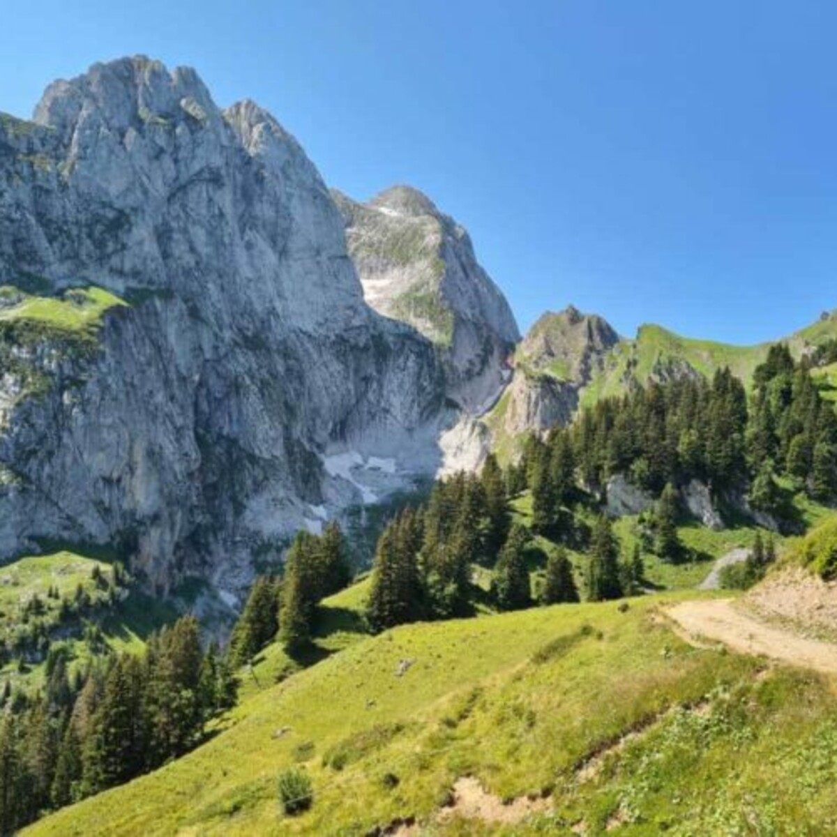 Circular hike with Ruth from Videmanette via Les Praz and Les Gouilles back to Videmanette