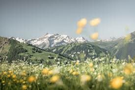 Wanderung mit Ruth vom Horneggli auf dem Blüemliweg