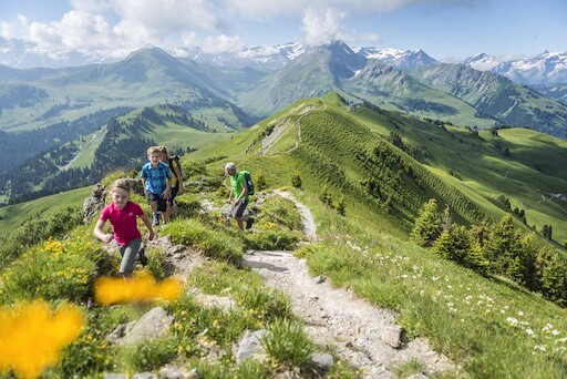 Panoramic hike with Gaby from Rinderberg over Hornberg to Horneggli