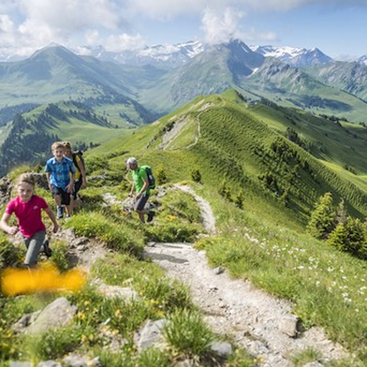 Information – Mountain Guides