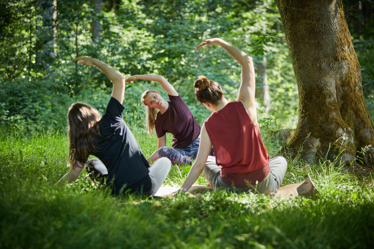 Yoga et thérapie par la forêt