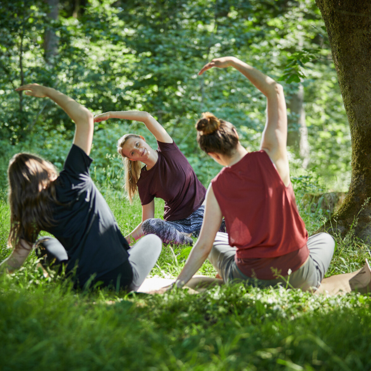 Yoga und Waldbaden