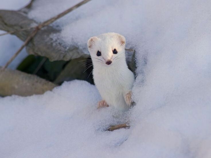 Nos plus jeunes hôtes partent à la recherche des traces laissées du lapin de Pâques