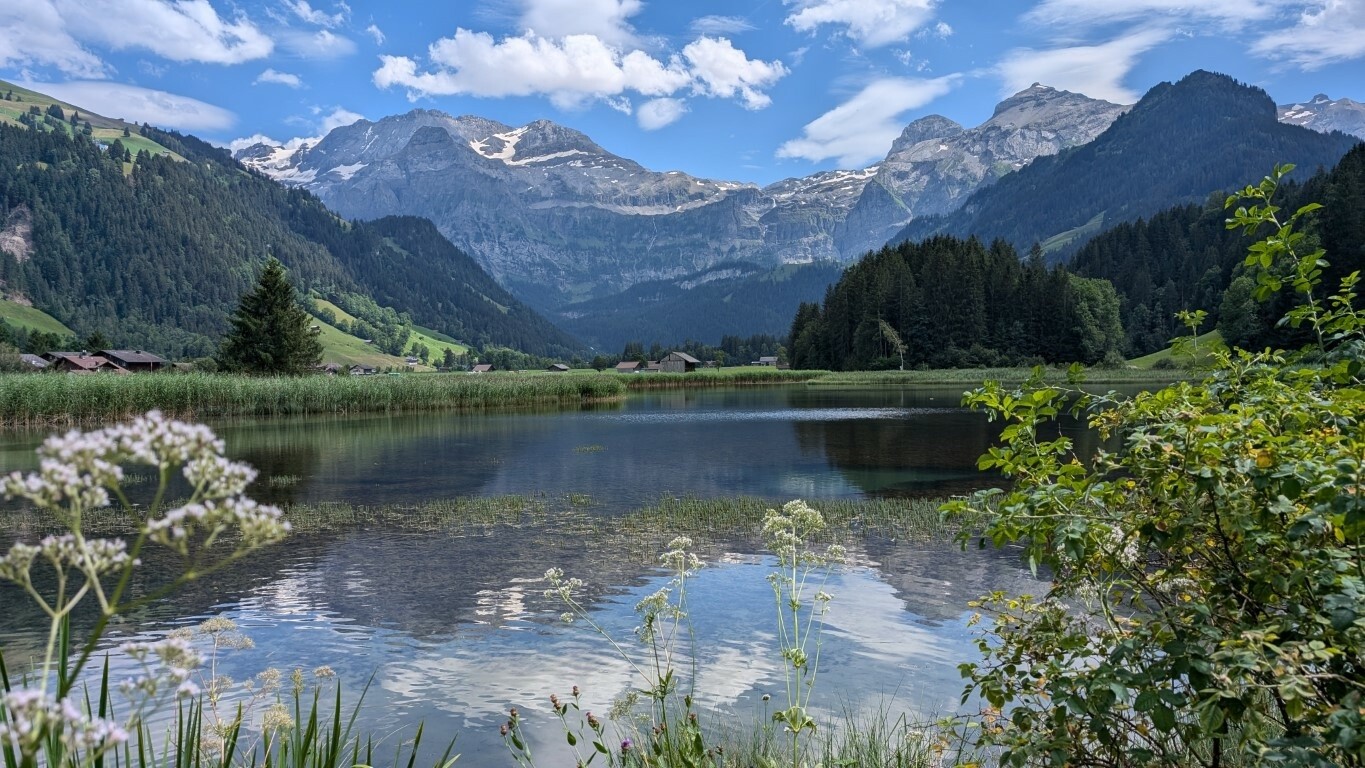 Excursion with Christian to Lenk