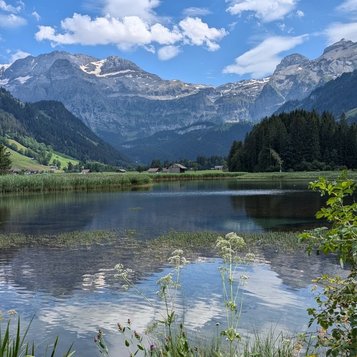 Hike with Ruth at Metschstand