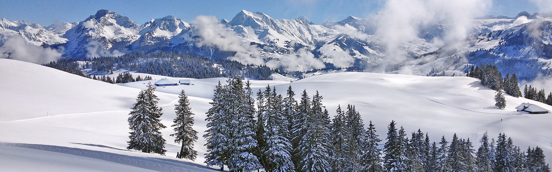 Spaziergang mit Gaby