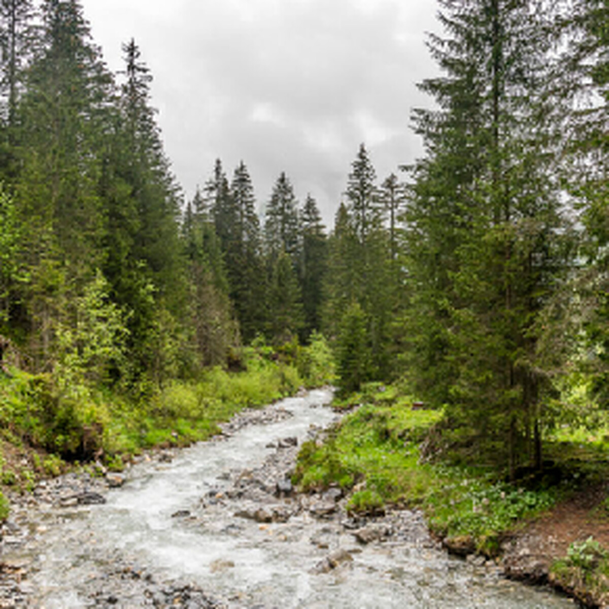 Join Ruth on a hike through the idyllic Turbach Valley to Wintermatte and back