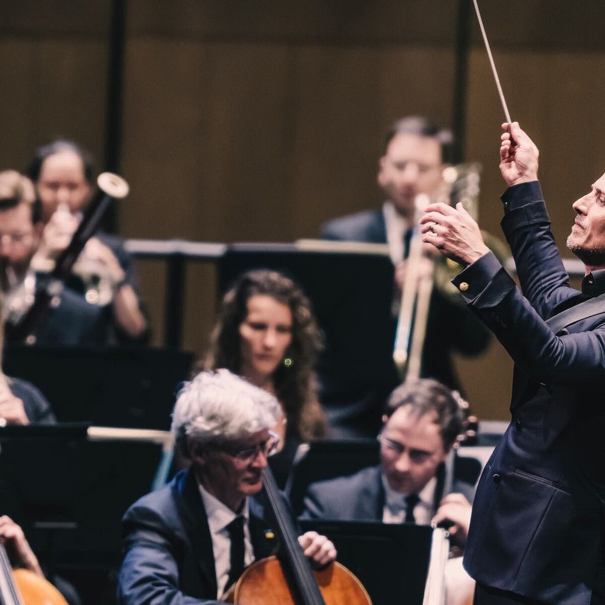 Celebration | Gstaad Festival Orchestra | Shelley & Hope