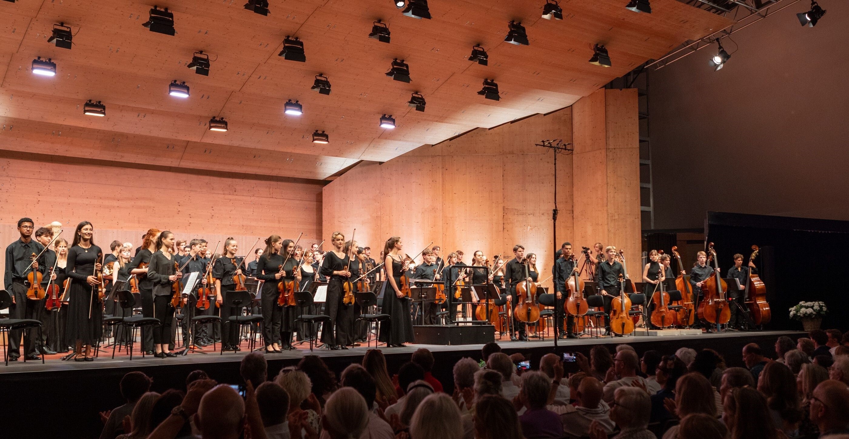 Menuhin Festival Jugendorchester