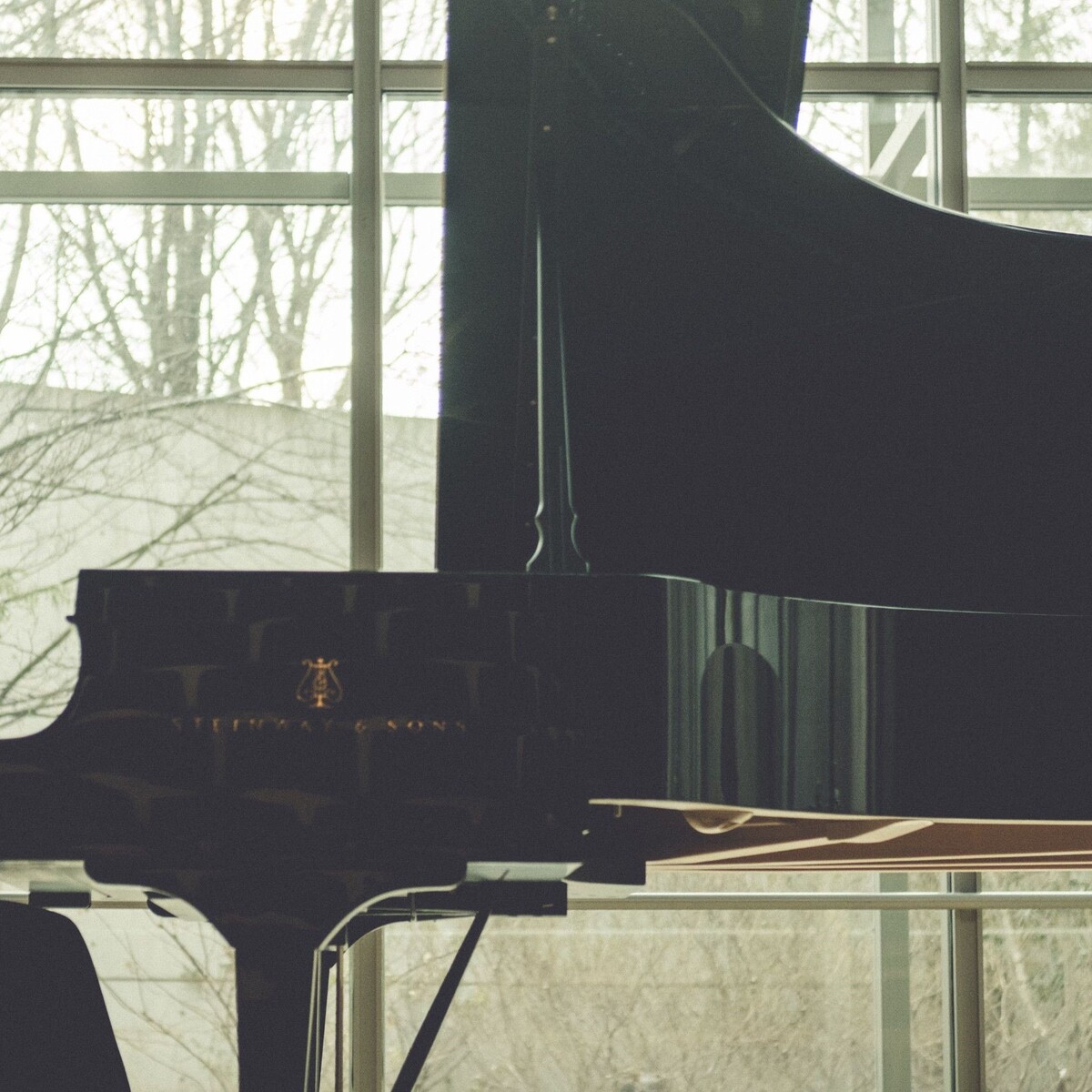 Daniil Trifonov & Sergei Dogadin