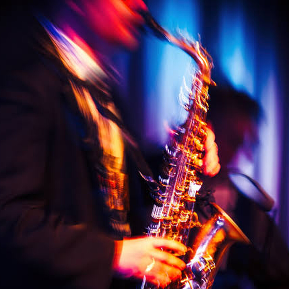 Jazz Nights ERMITAGE - Jazz, Blues und Fusion