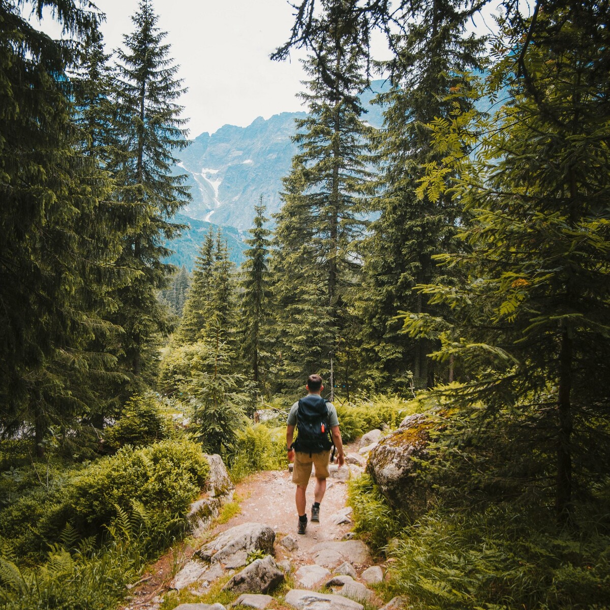 Mountain hike with Christian from the Grischbach Valley